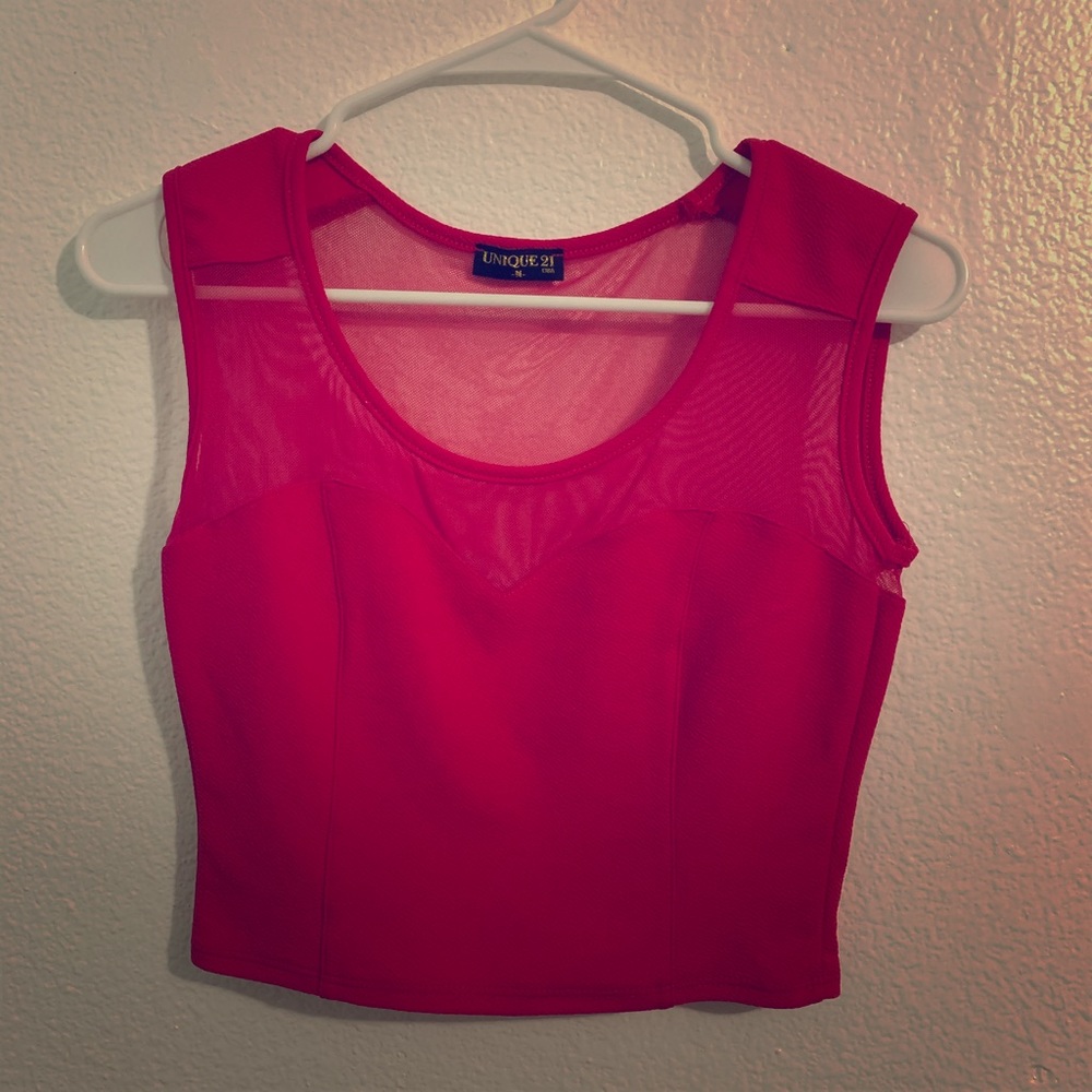 Pink Top with mesh details